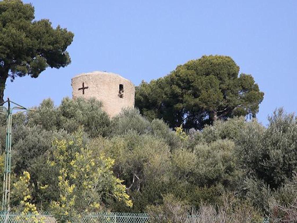 183 D24 BORMES LES MIMOSAS 2_000018.jpg